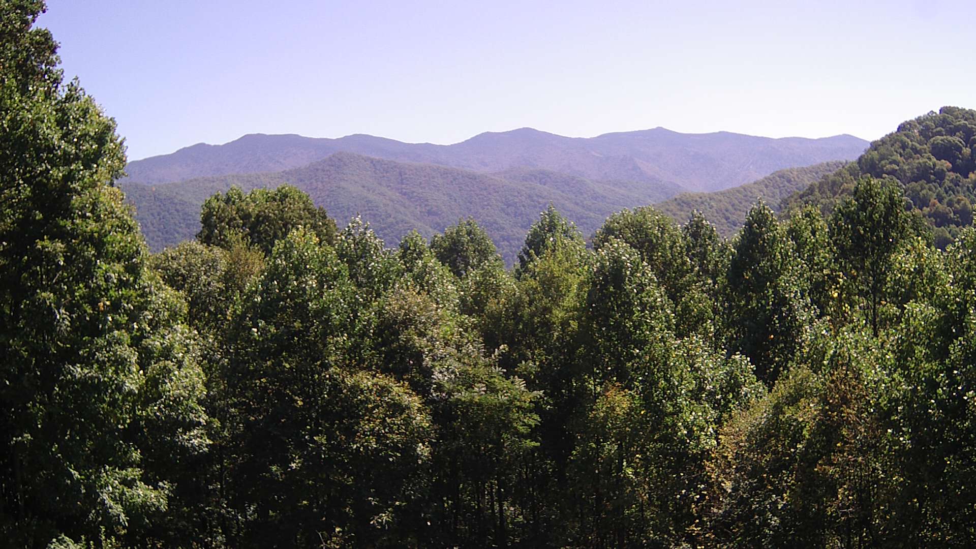 click for next image... slideshow image