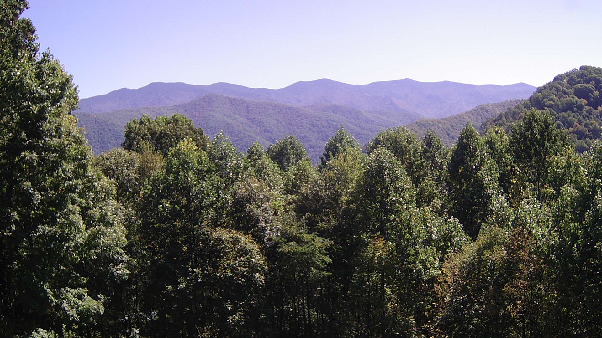 click for next image... slideshow image