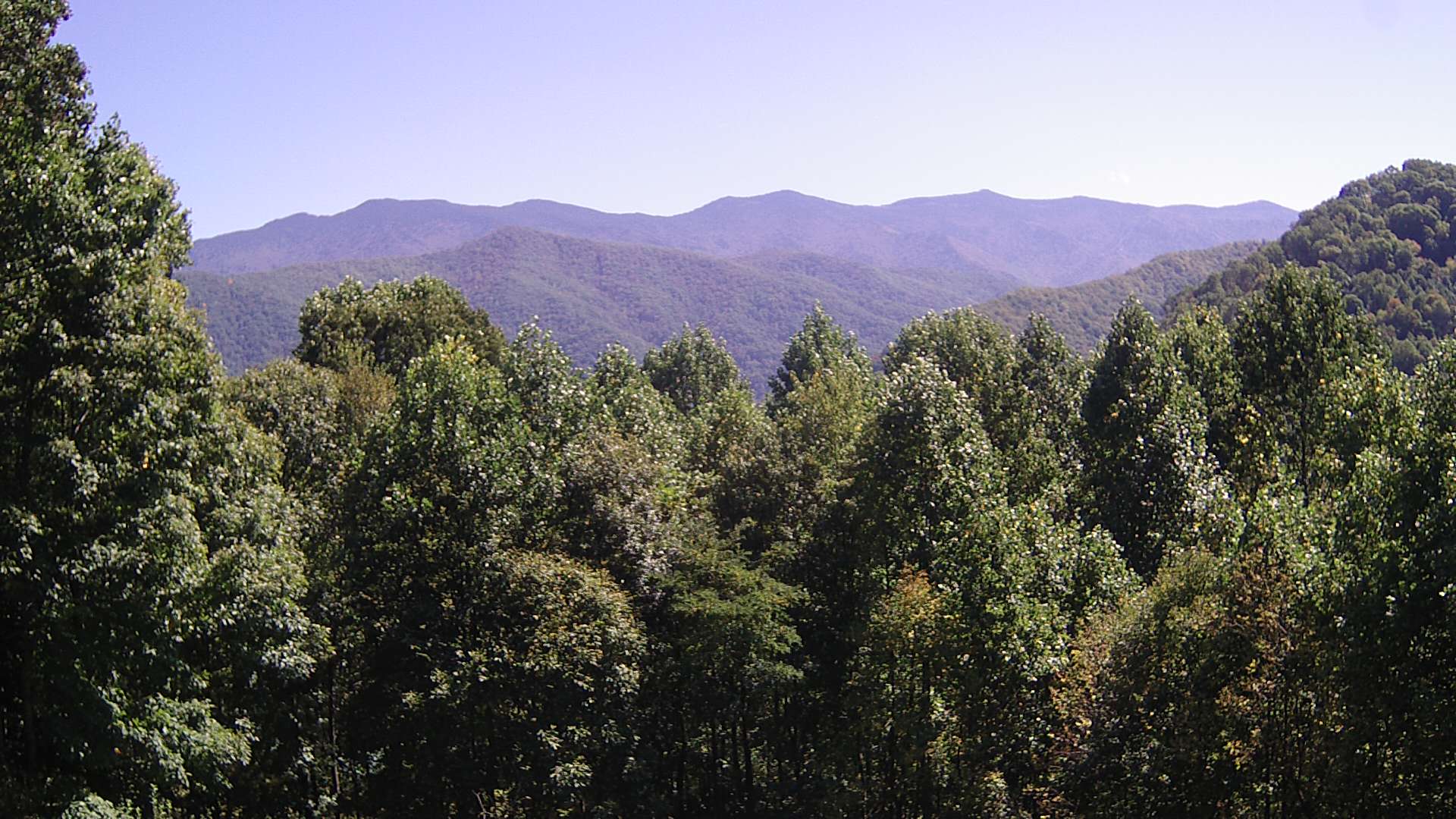 click for next image... slideshow image