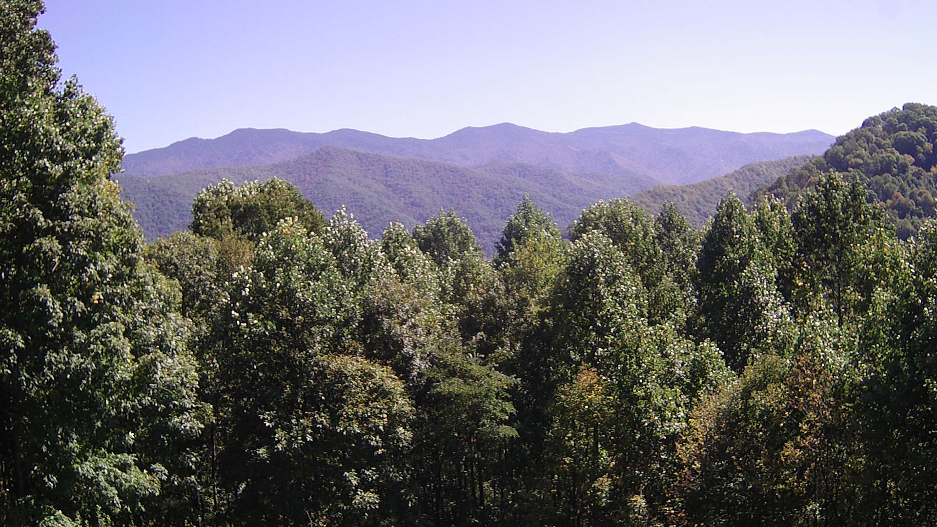 click for next image... slideshow image