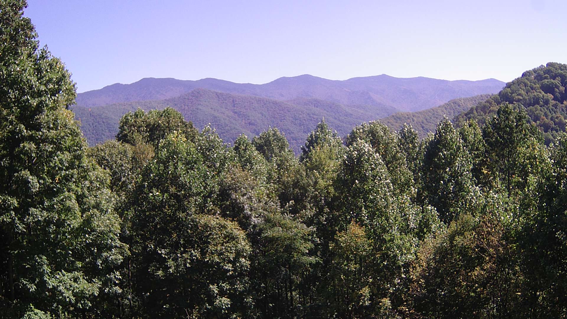 click for next image... slideshow image