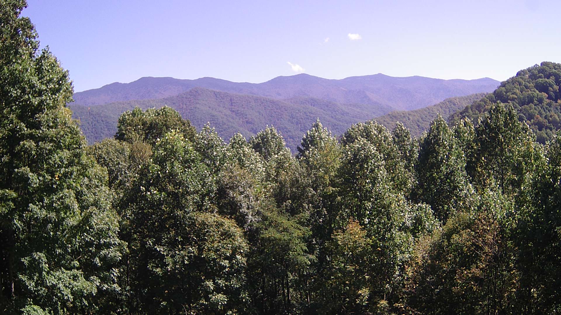 click for next image... slideshow image