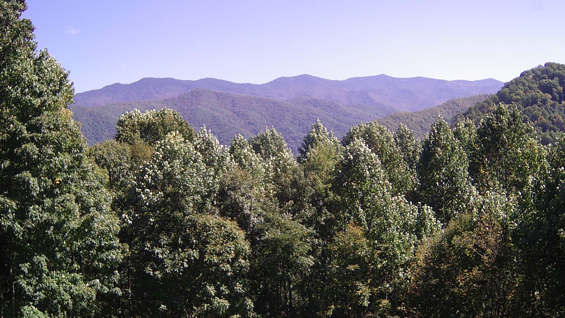 click for next image... slideshow image