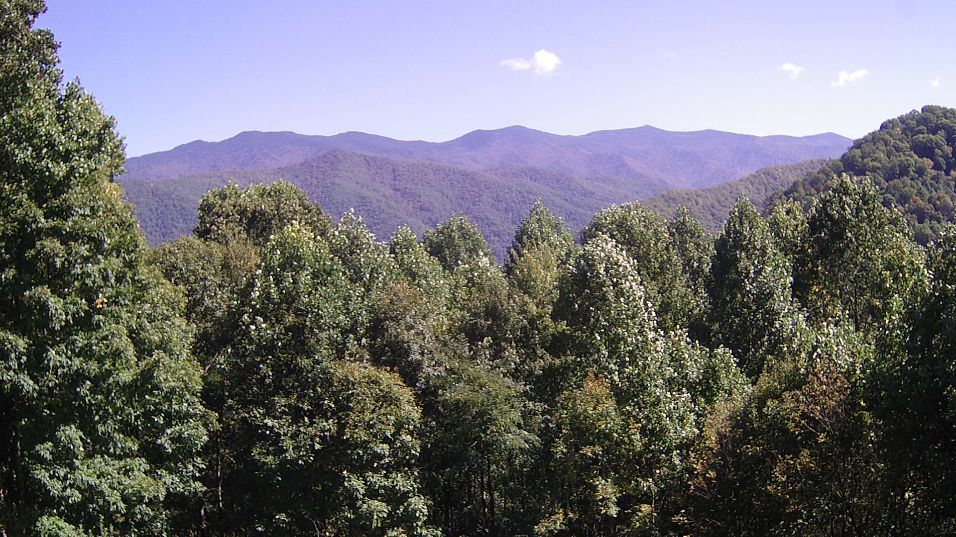 click for next image... slideshow image