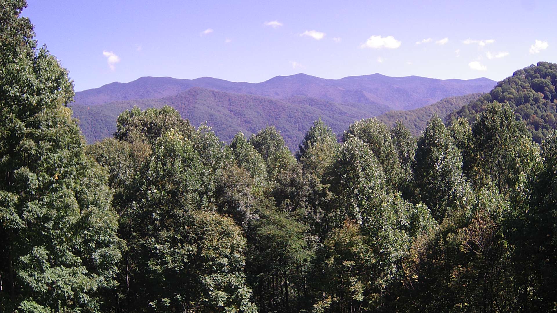 click for next image... slideshow image