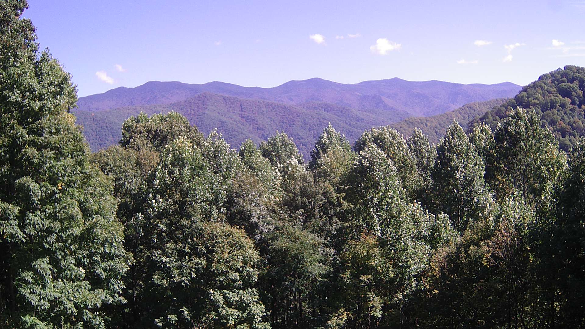 click for next image... slideshow image