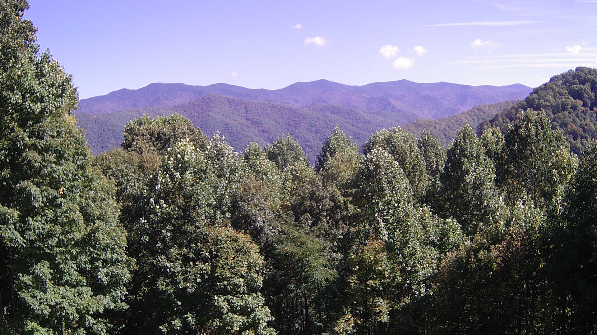 click for next image... slideshow image