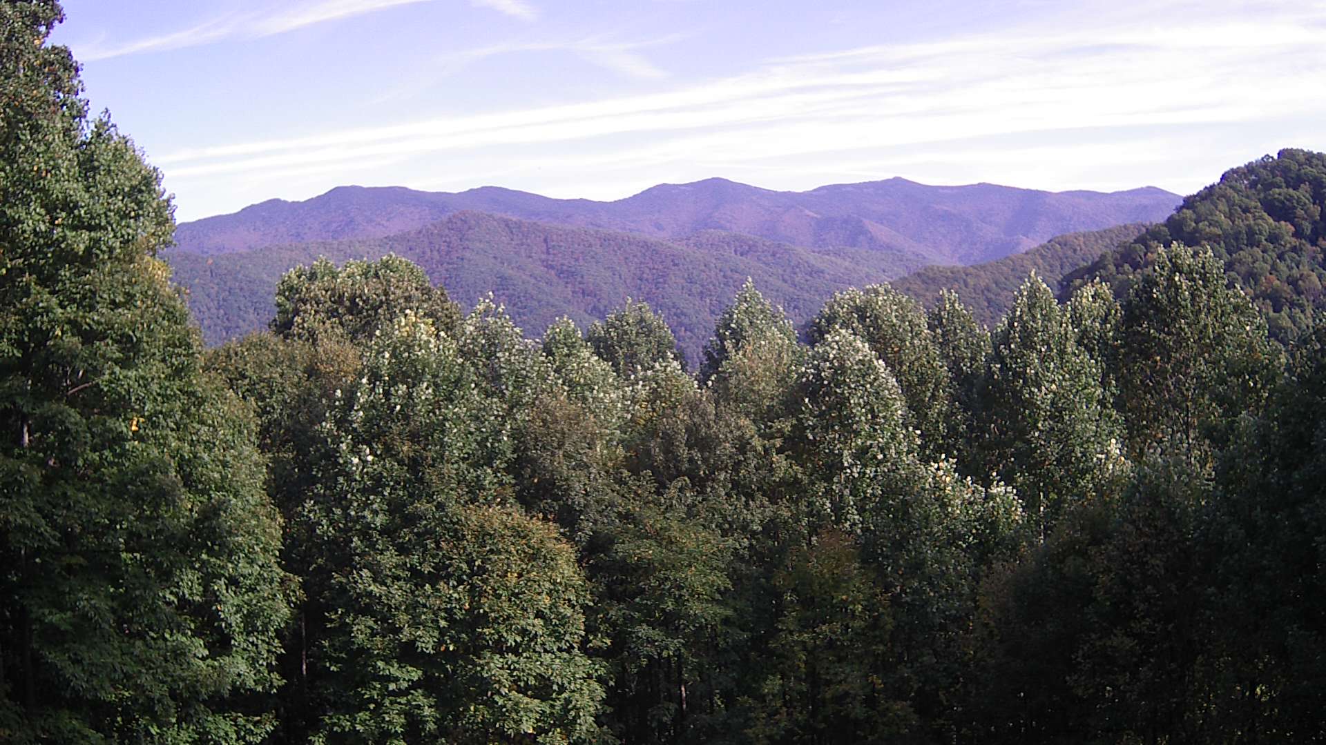 click for next image... slideshow image