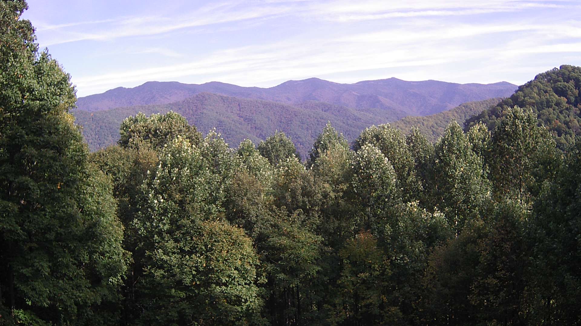 click for next image... slideshow image