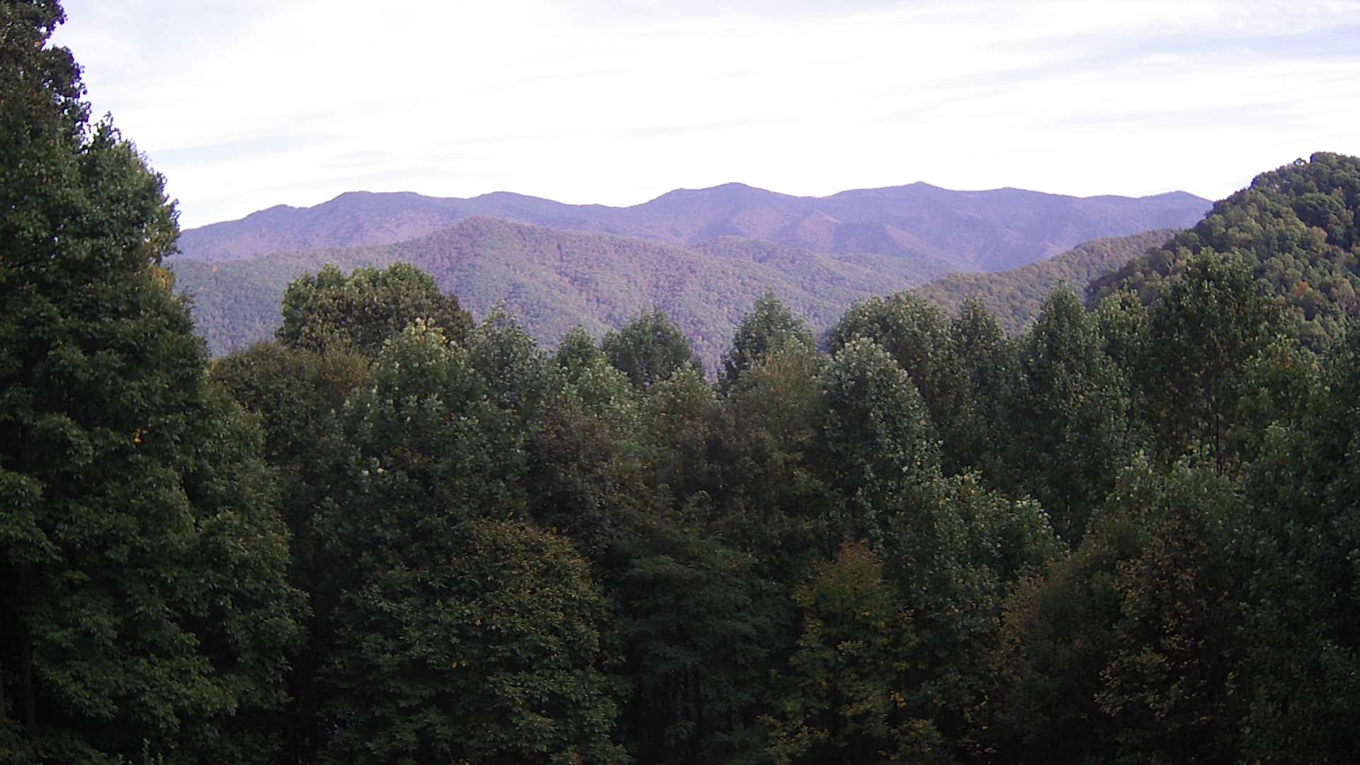 click for next image... slideshow image