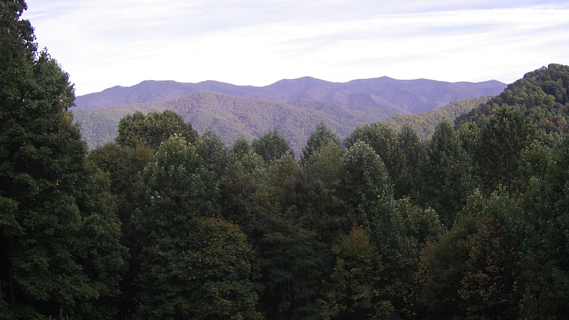 click for next image... slideshow image