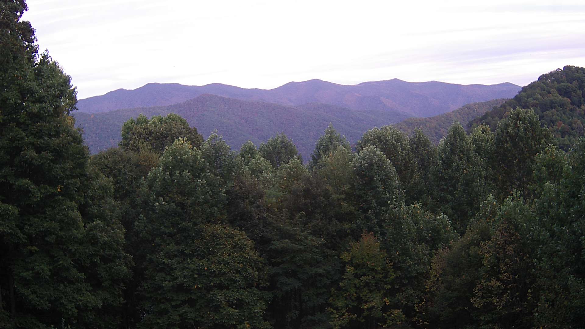 click for next image... slideshow image