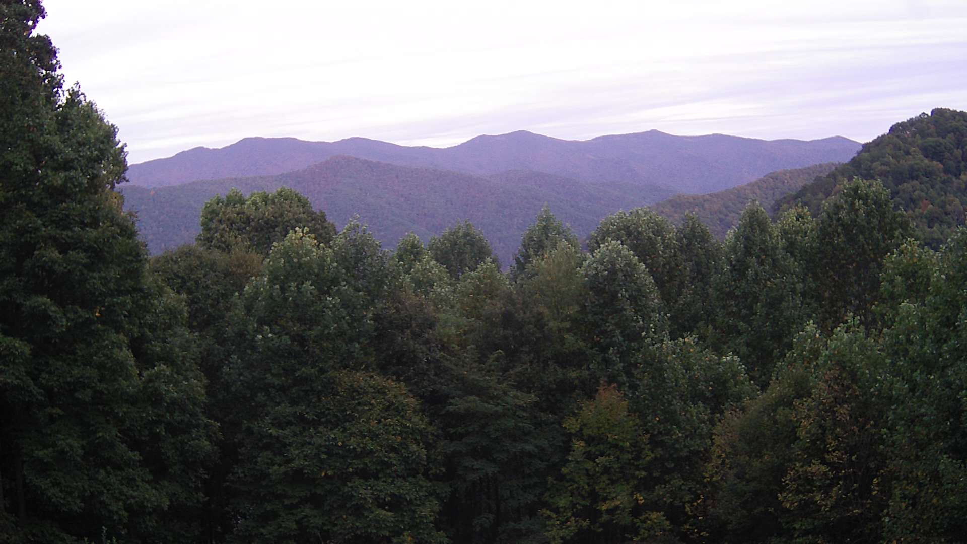 click for next image... slideshow image