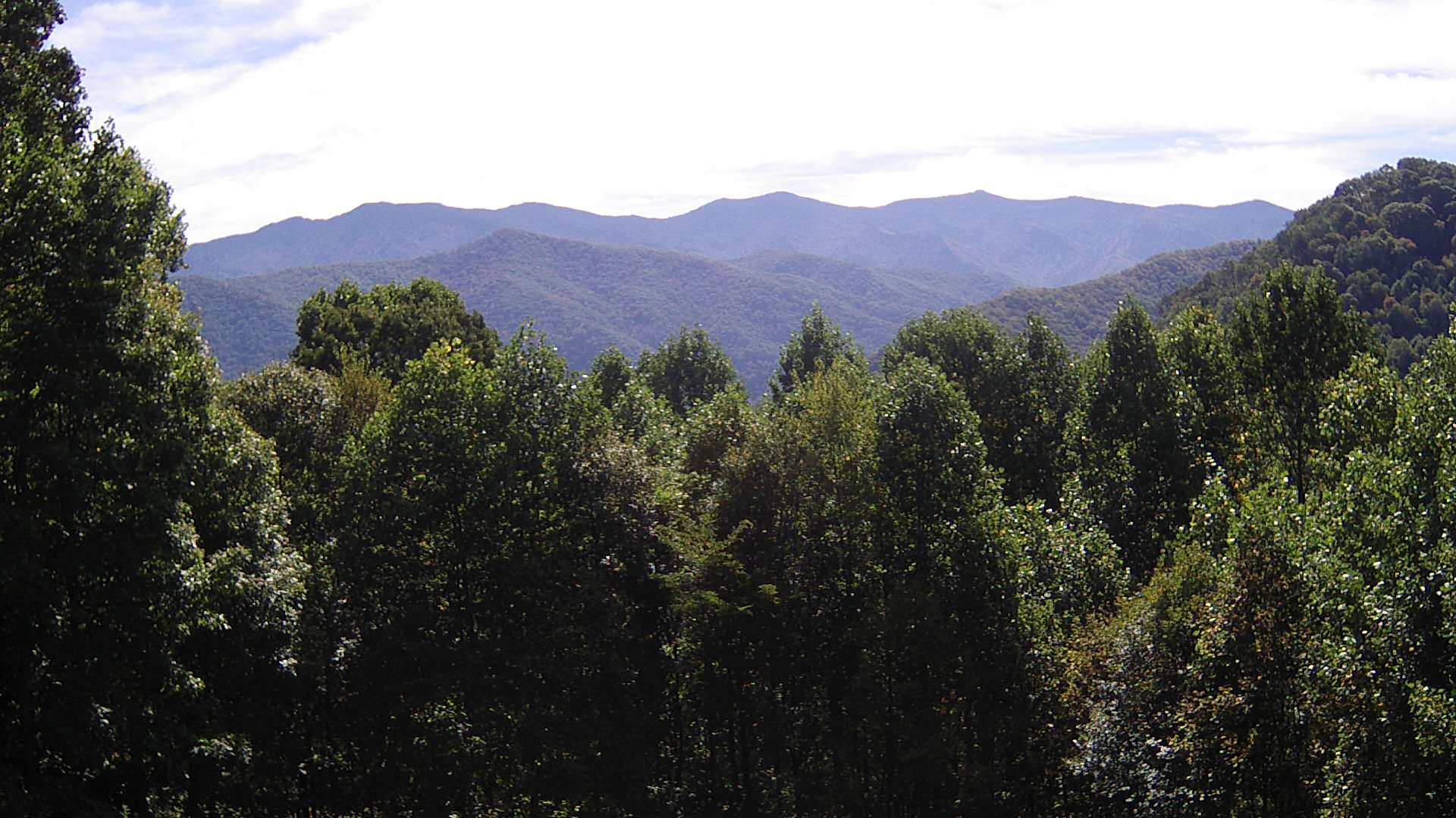 click for next image... slideshow image