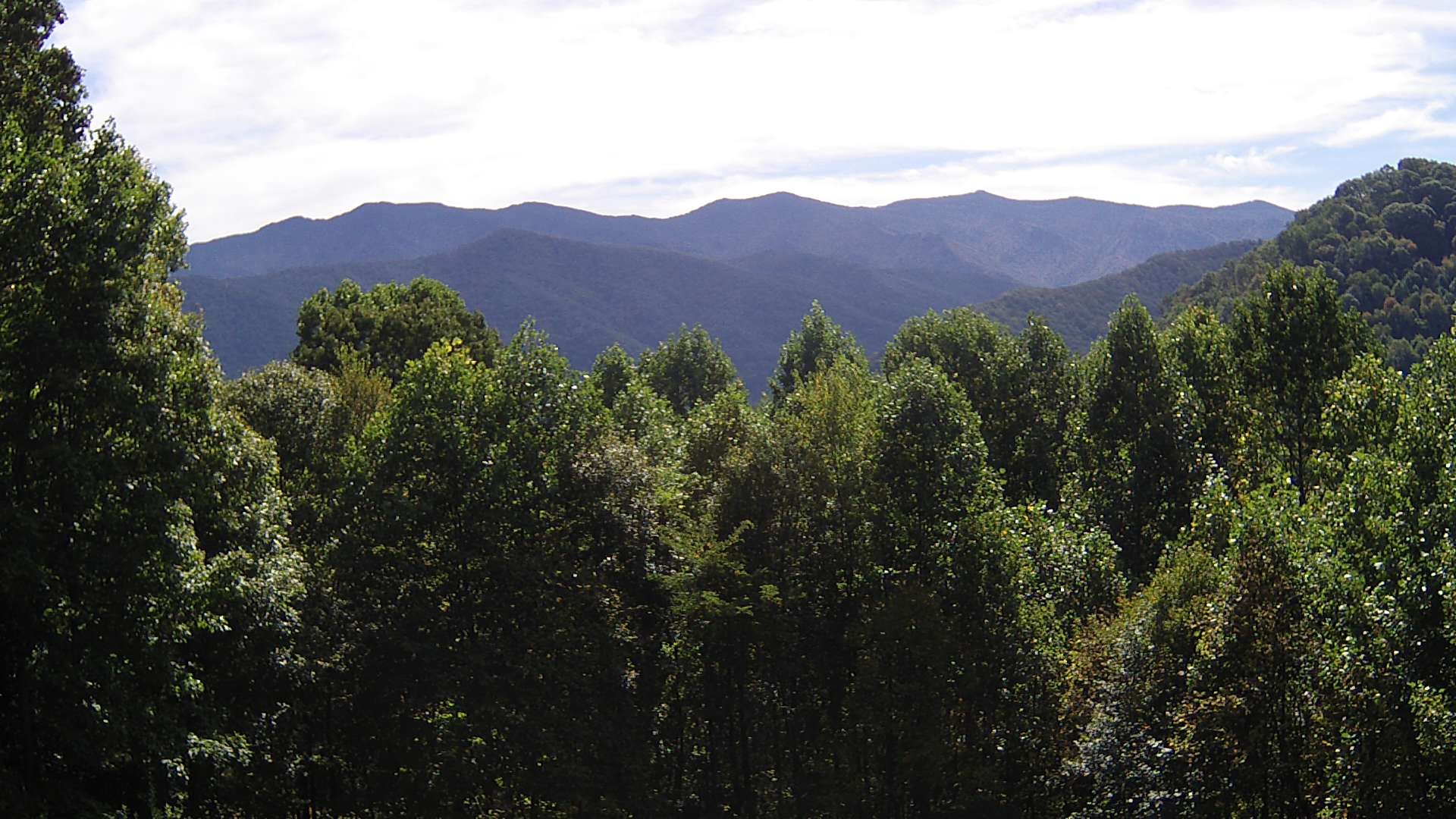 click for next image... slideshow image