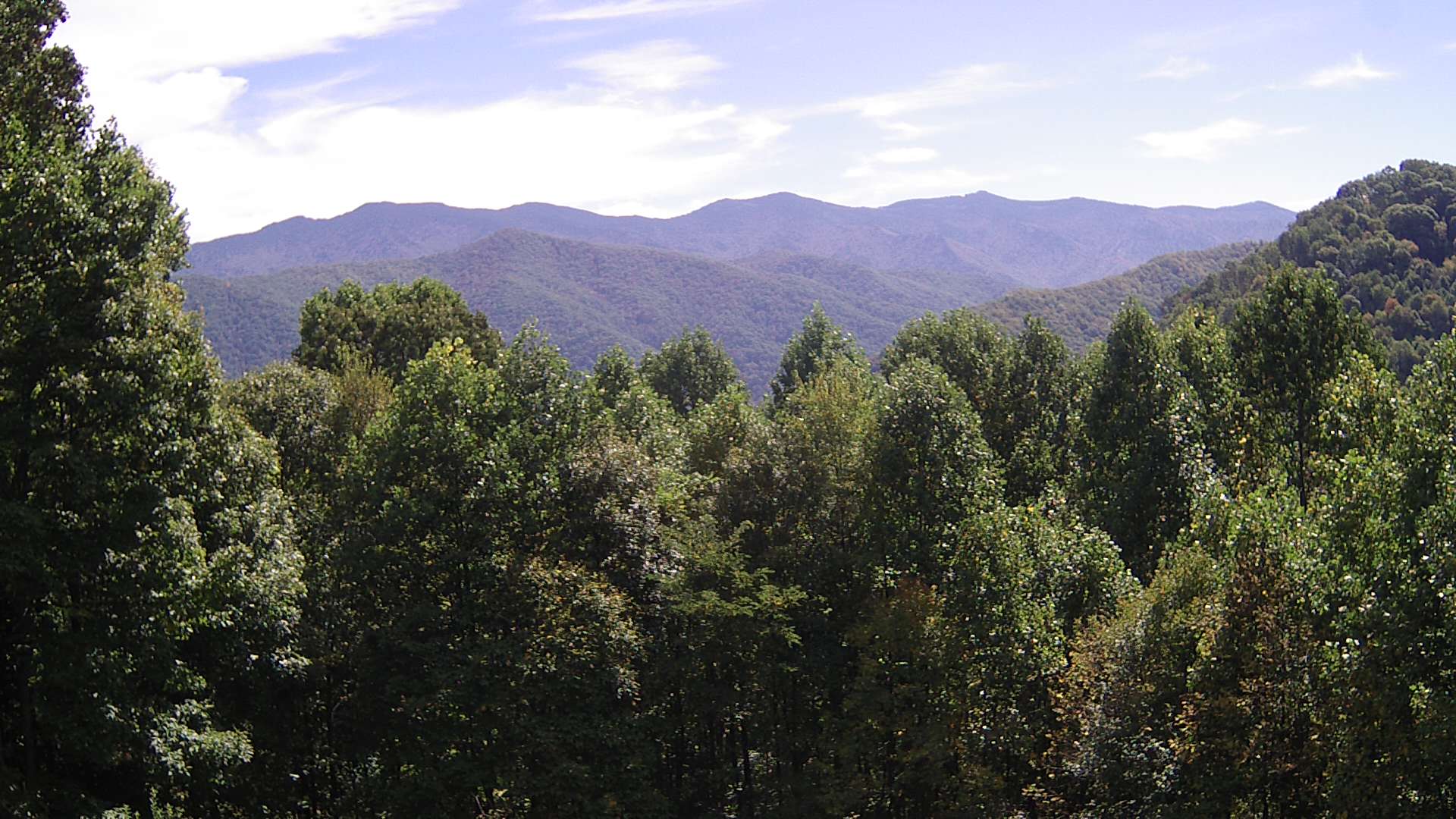 click for next image... slideshow image