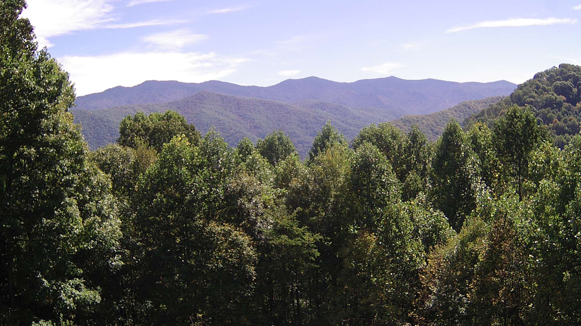 click for next image... slideshow image