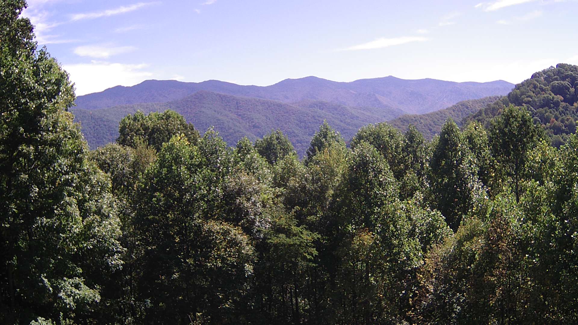 click for next image... slideshow image