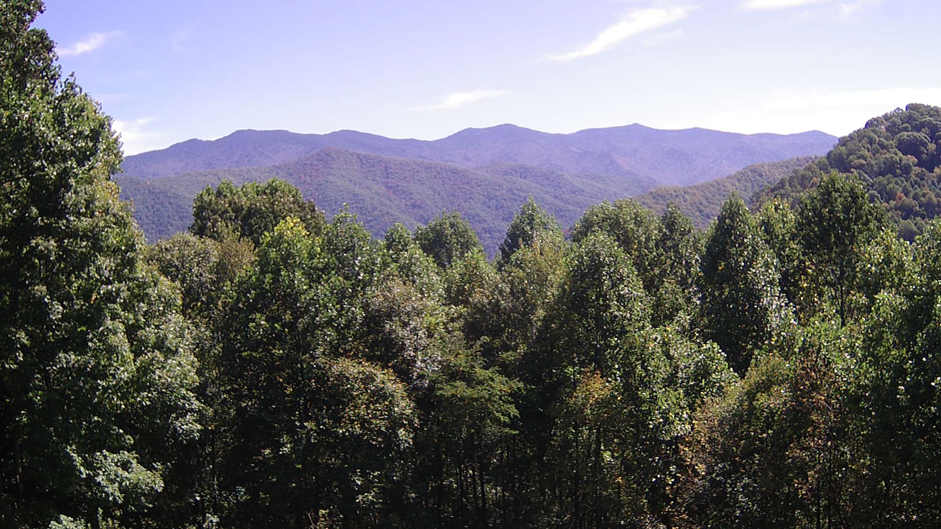 click for next image... slideshow image