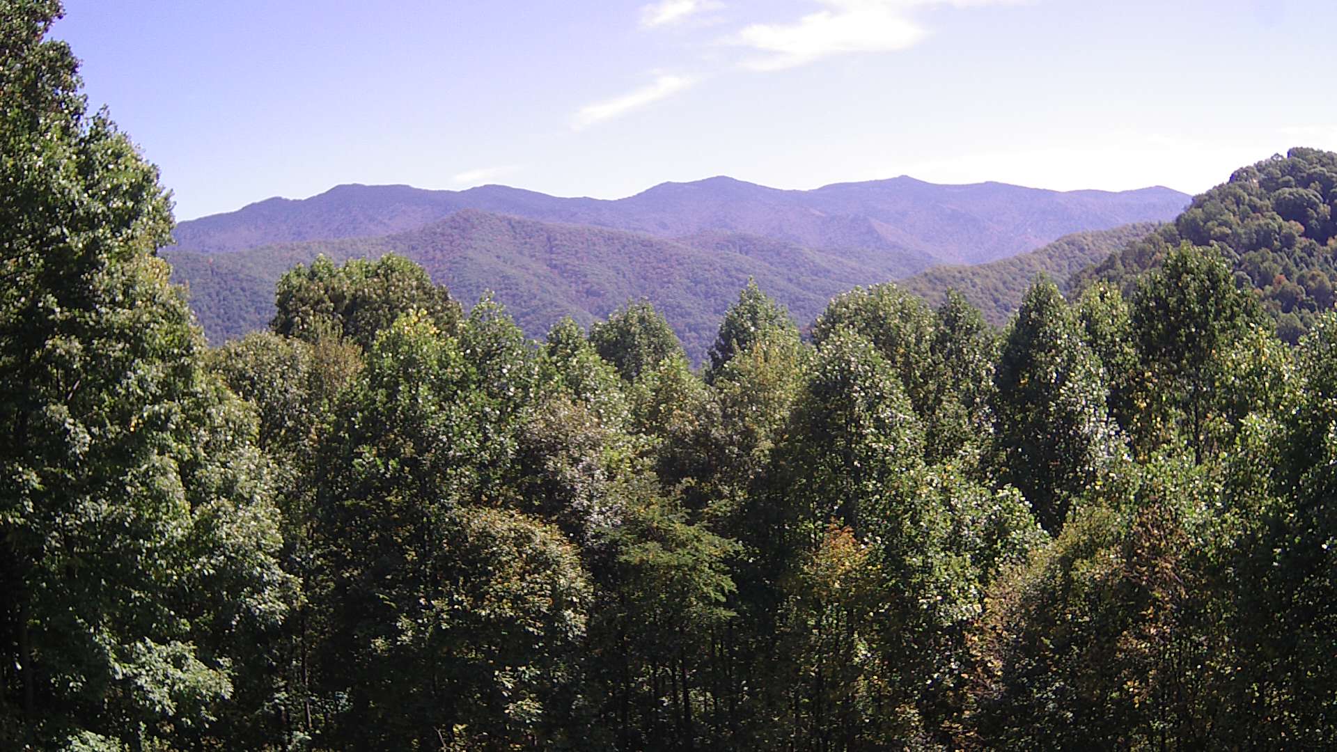 click for next image... slideshow image