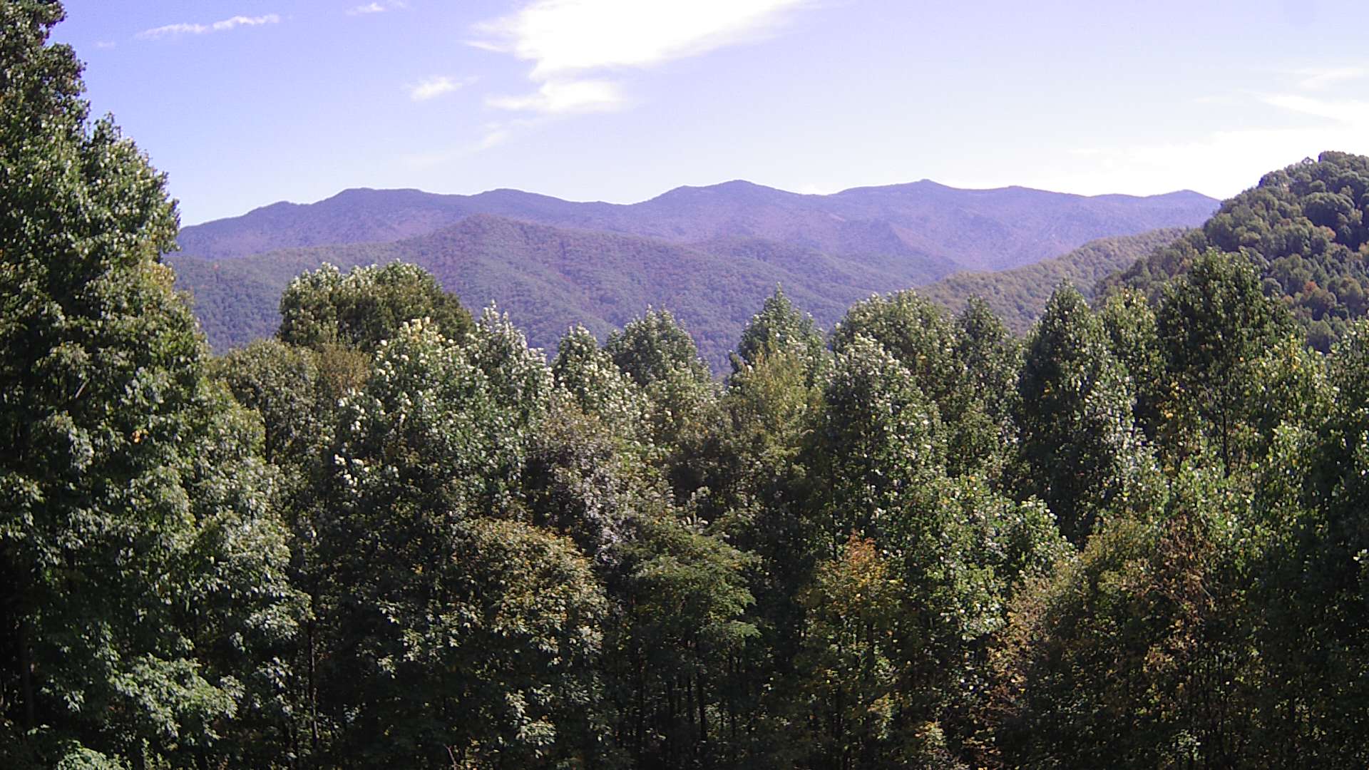 click for next image... slideshow image