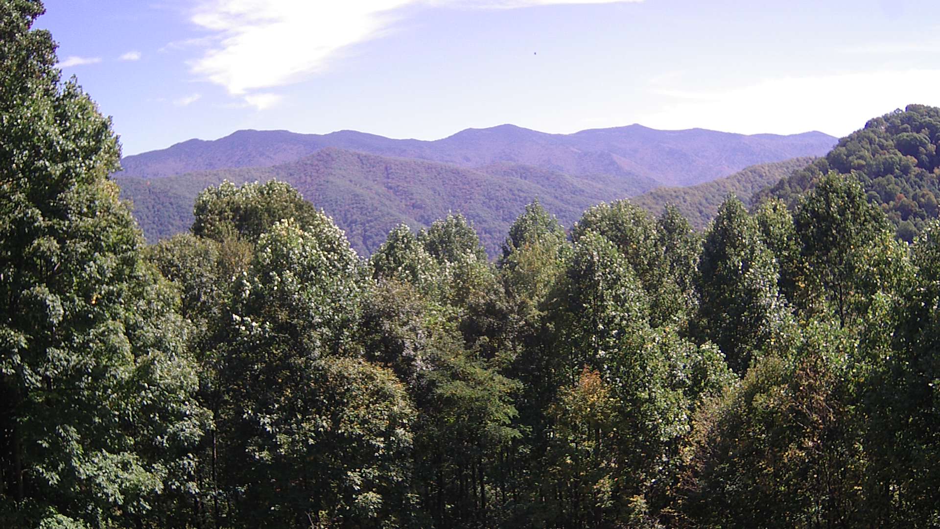 click for next image... slideshow image