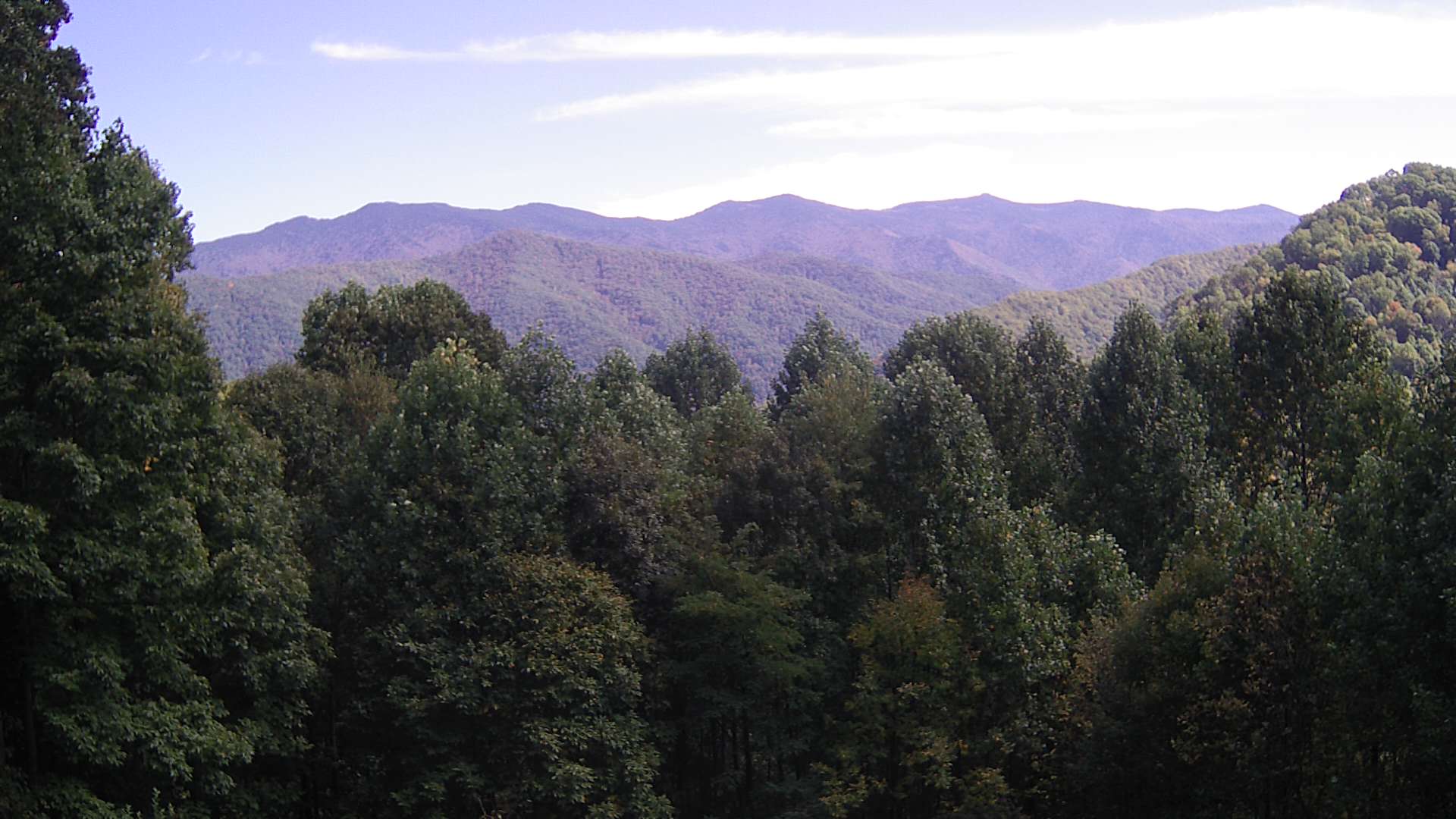 click for next image... slideshow image