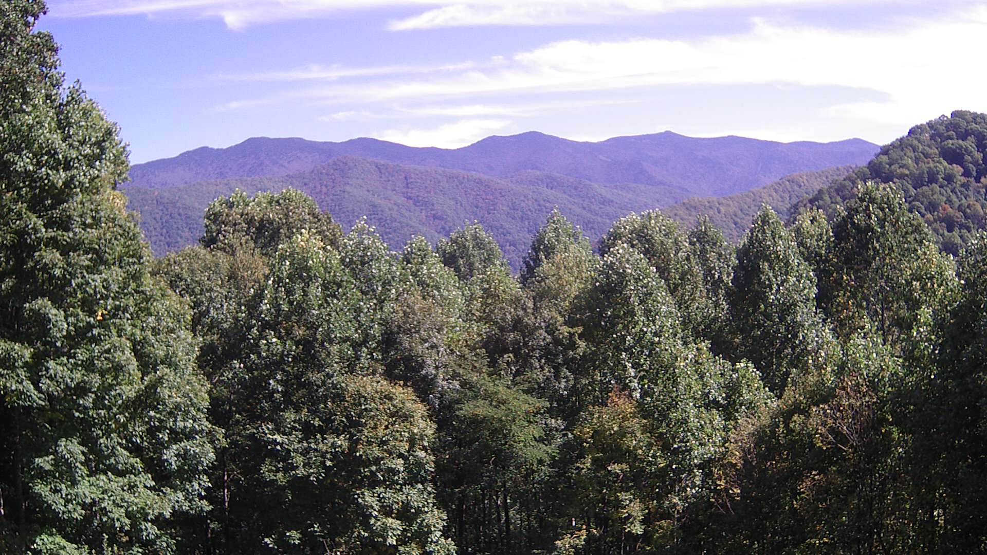 click for next image... slideshow image