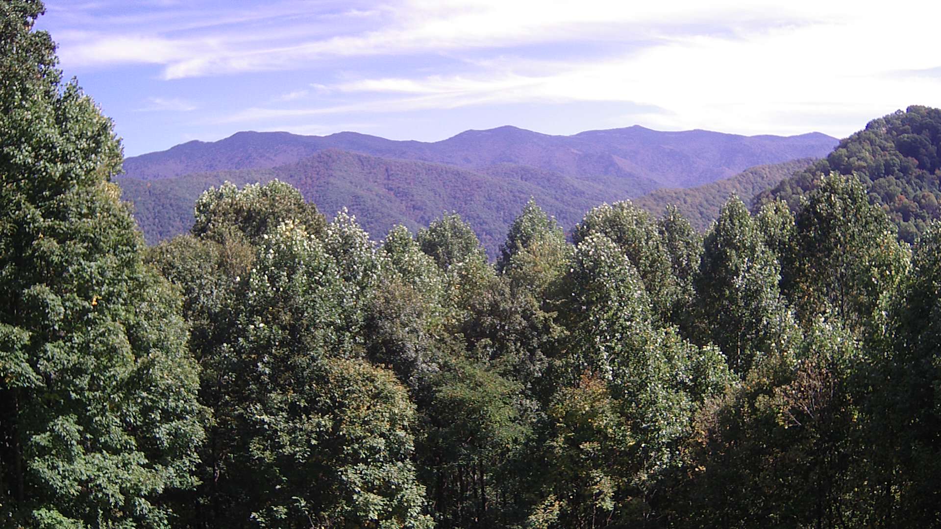 click for next image... slideshow image