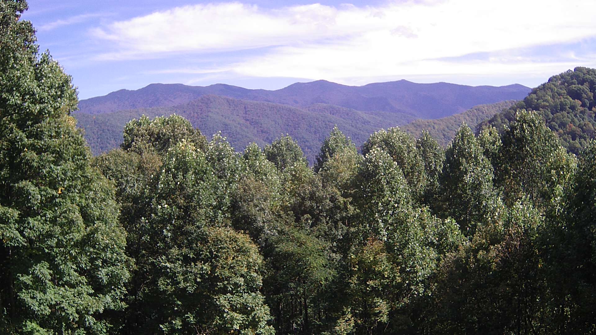 click for next image... slideshow image