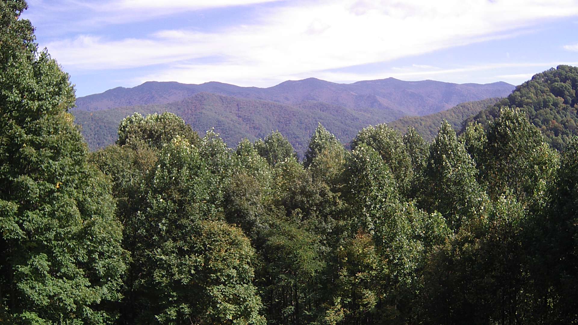 click for next image... slideshow image