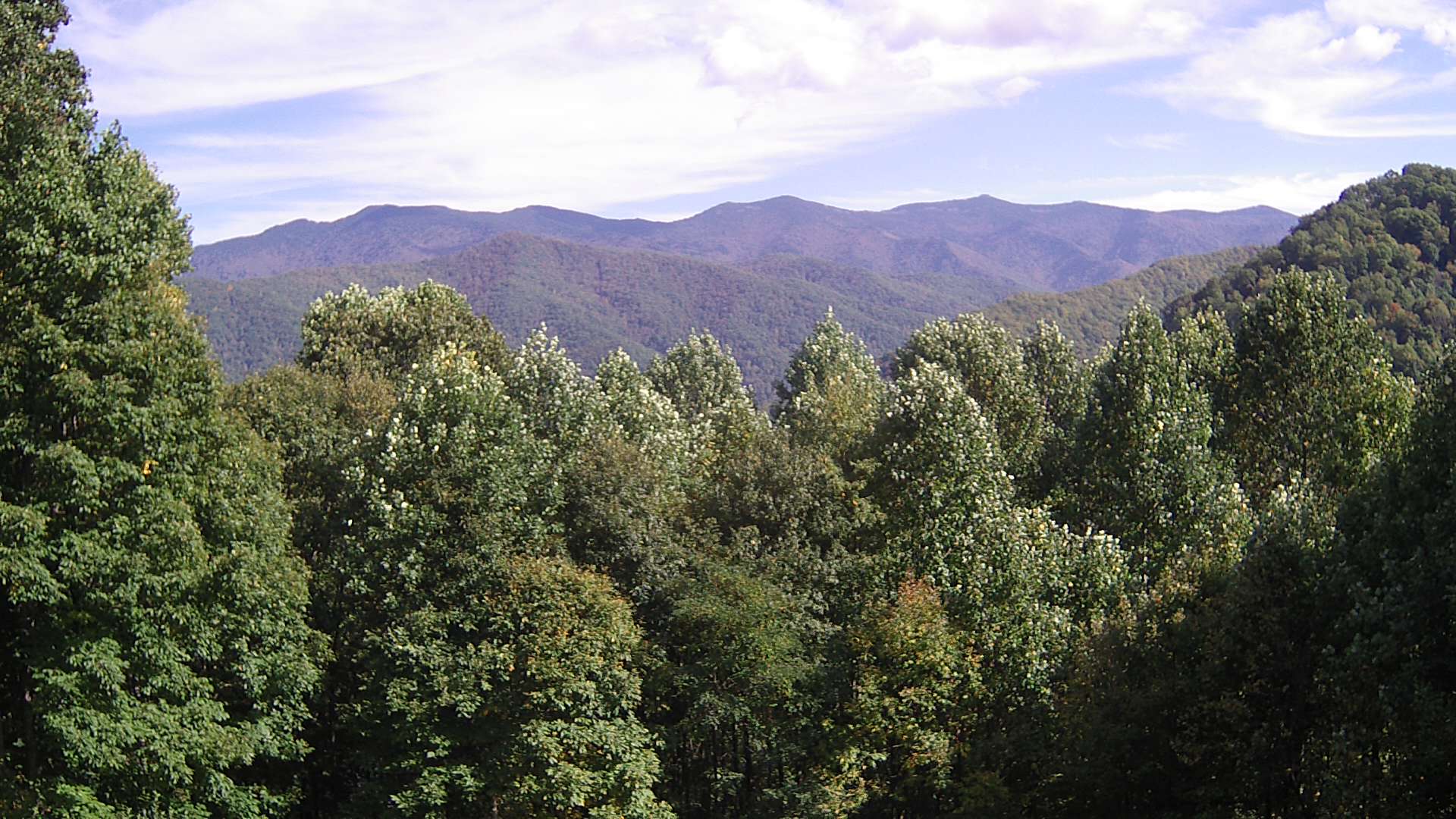 click for next image... slideshow image