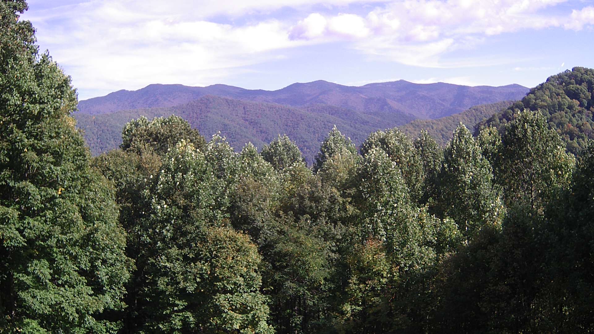 click for next image... slideshow image