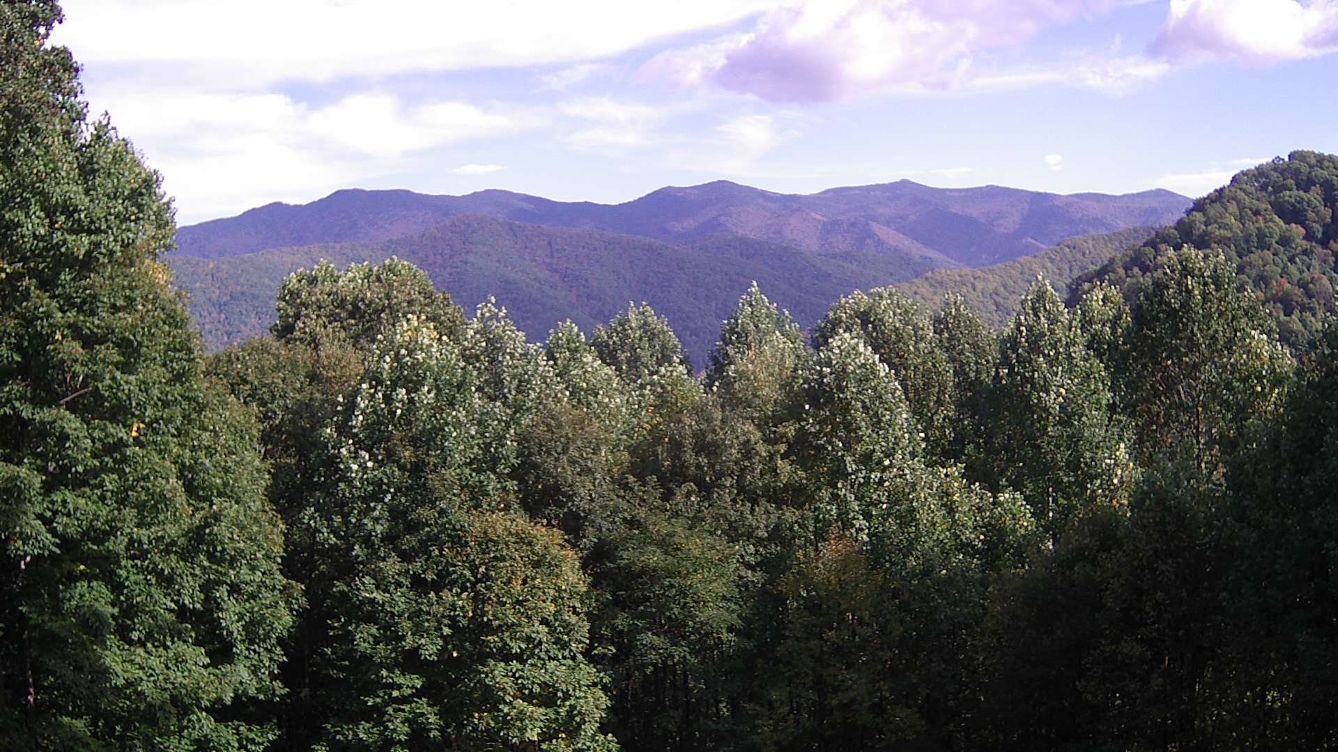 click for next image... slideshow image