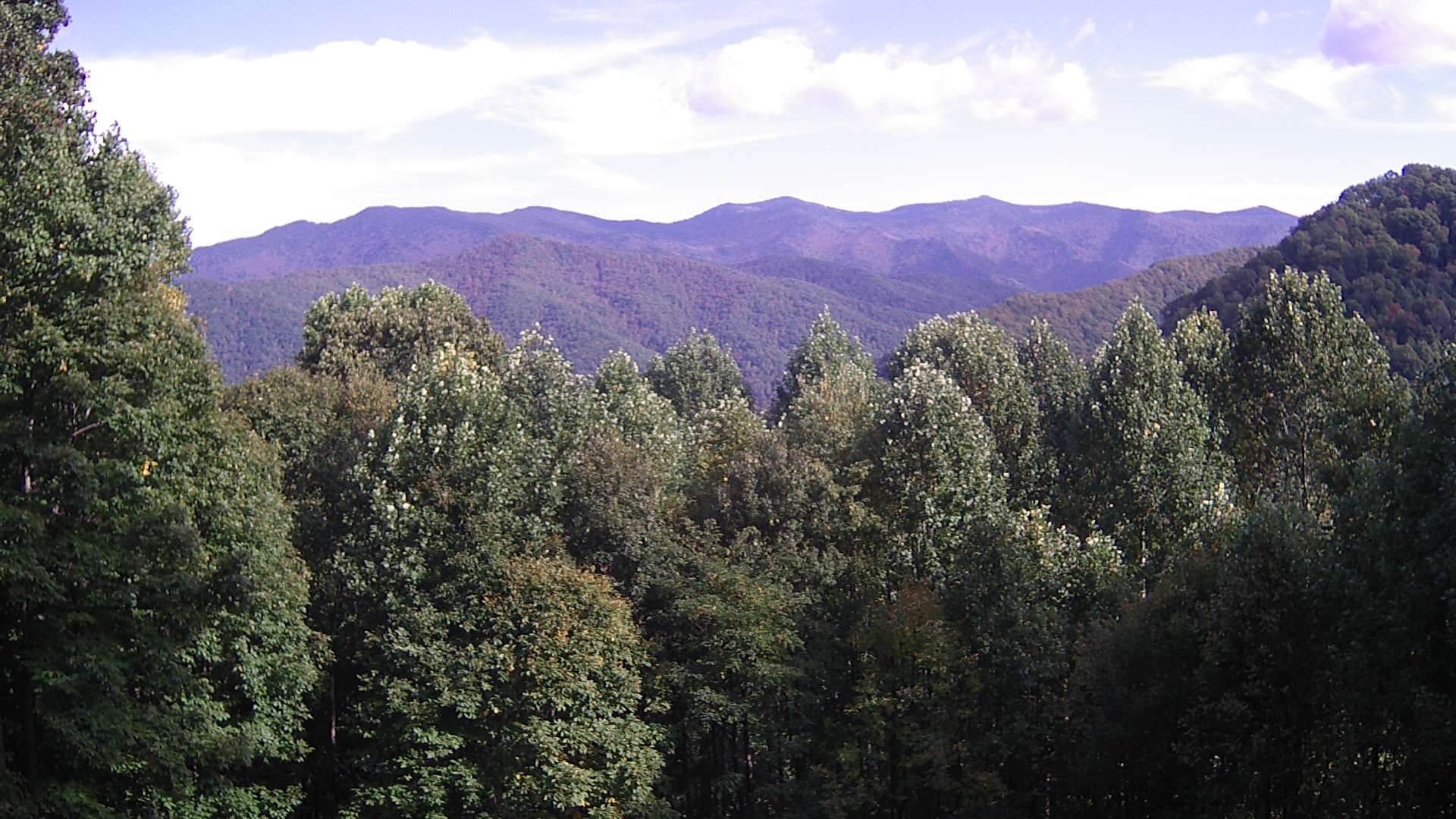 click for next image... slideshow image