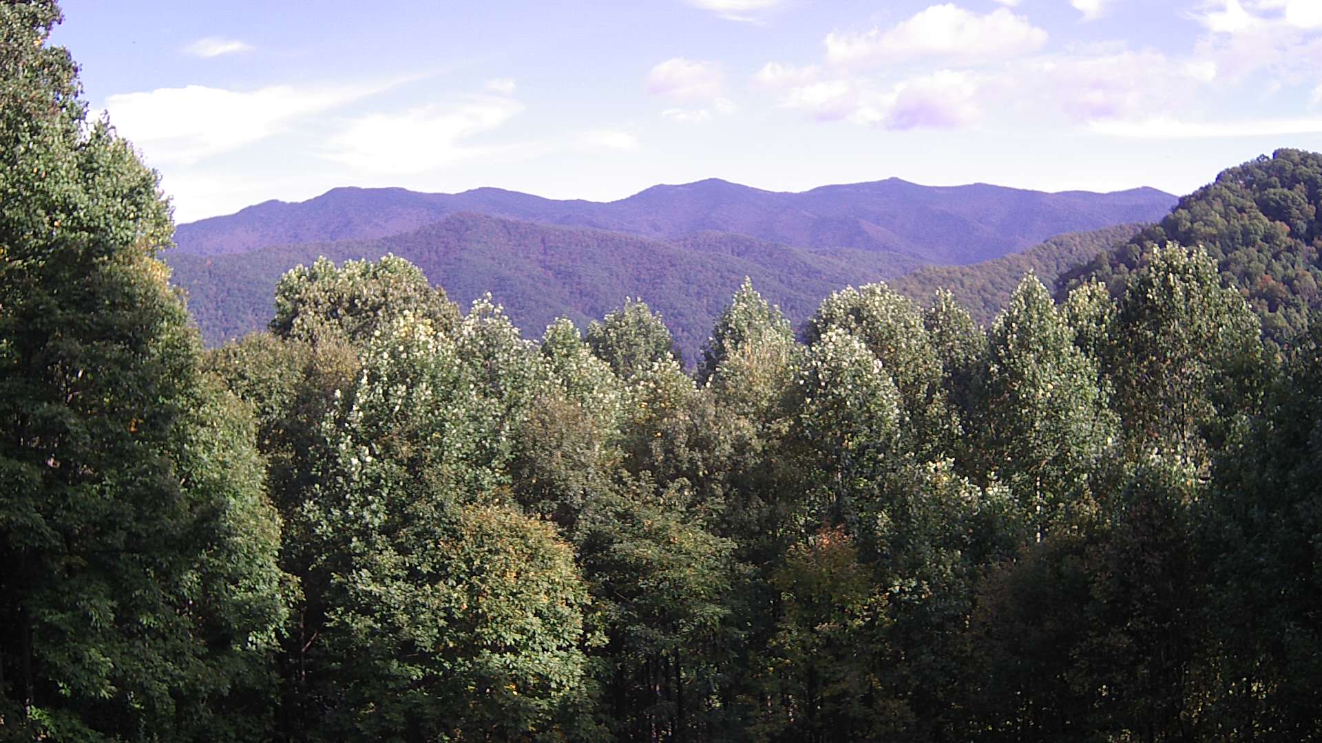 click for next image... slideshow image