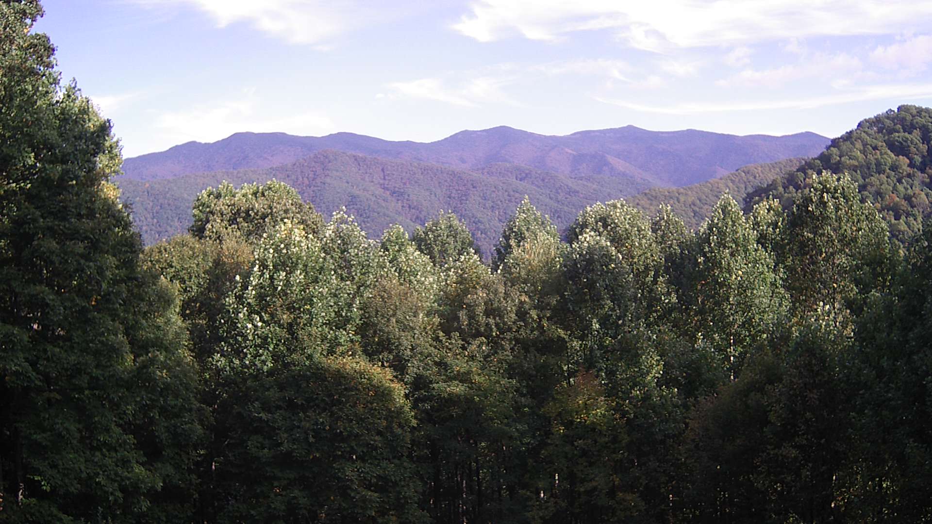 click for next image... slideshow image