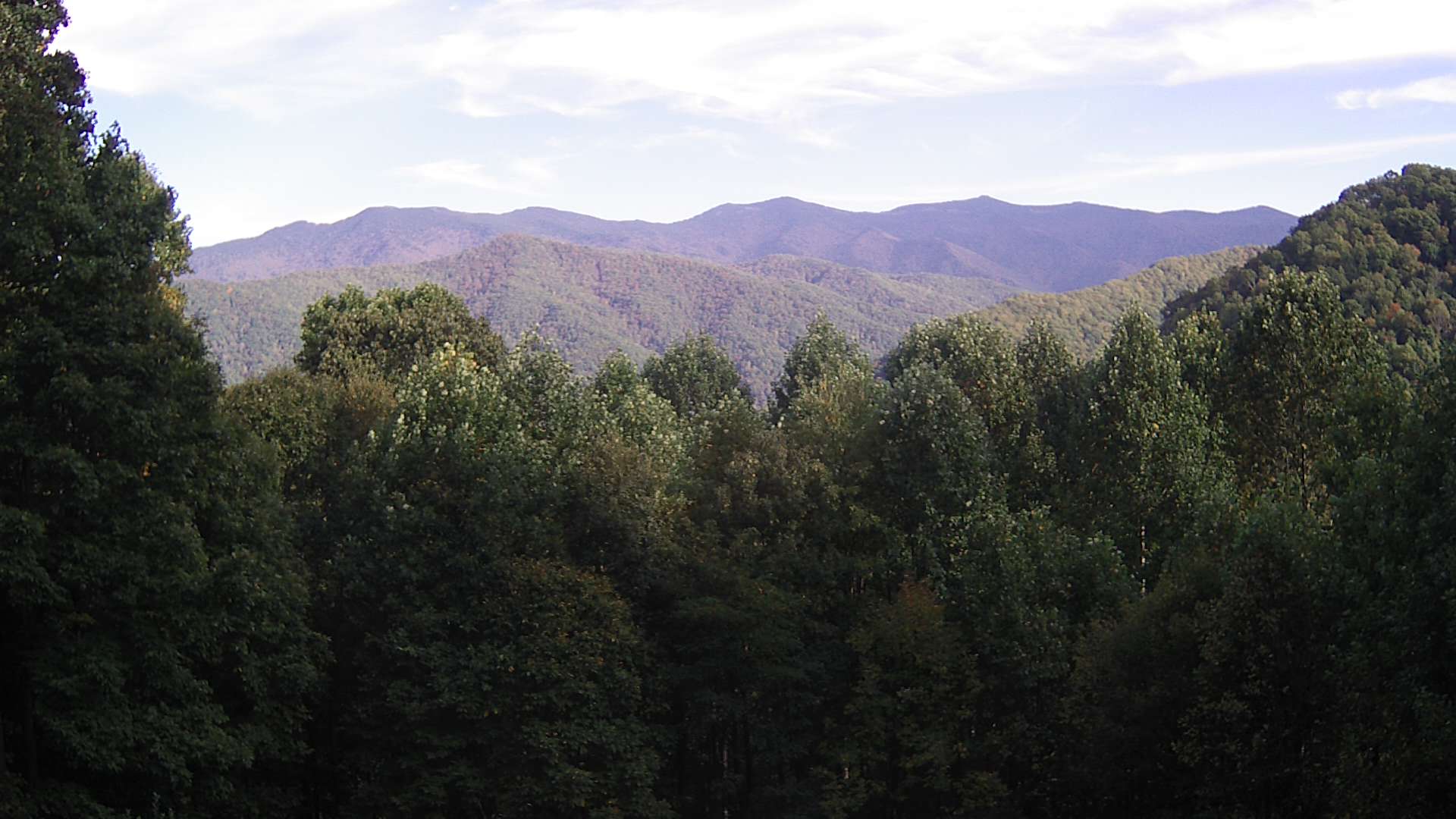 click for next image... slideshow image