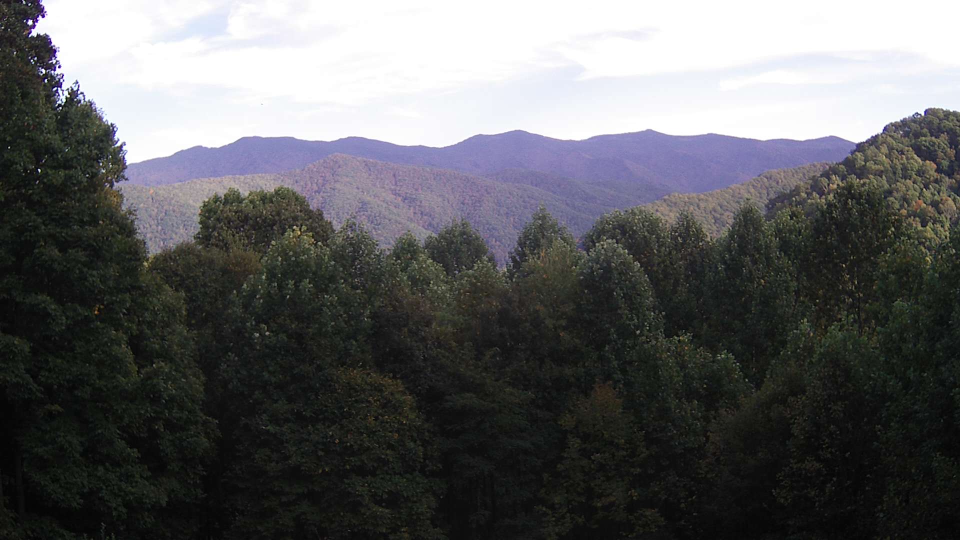 click for next image... slideshow image