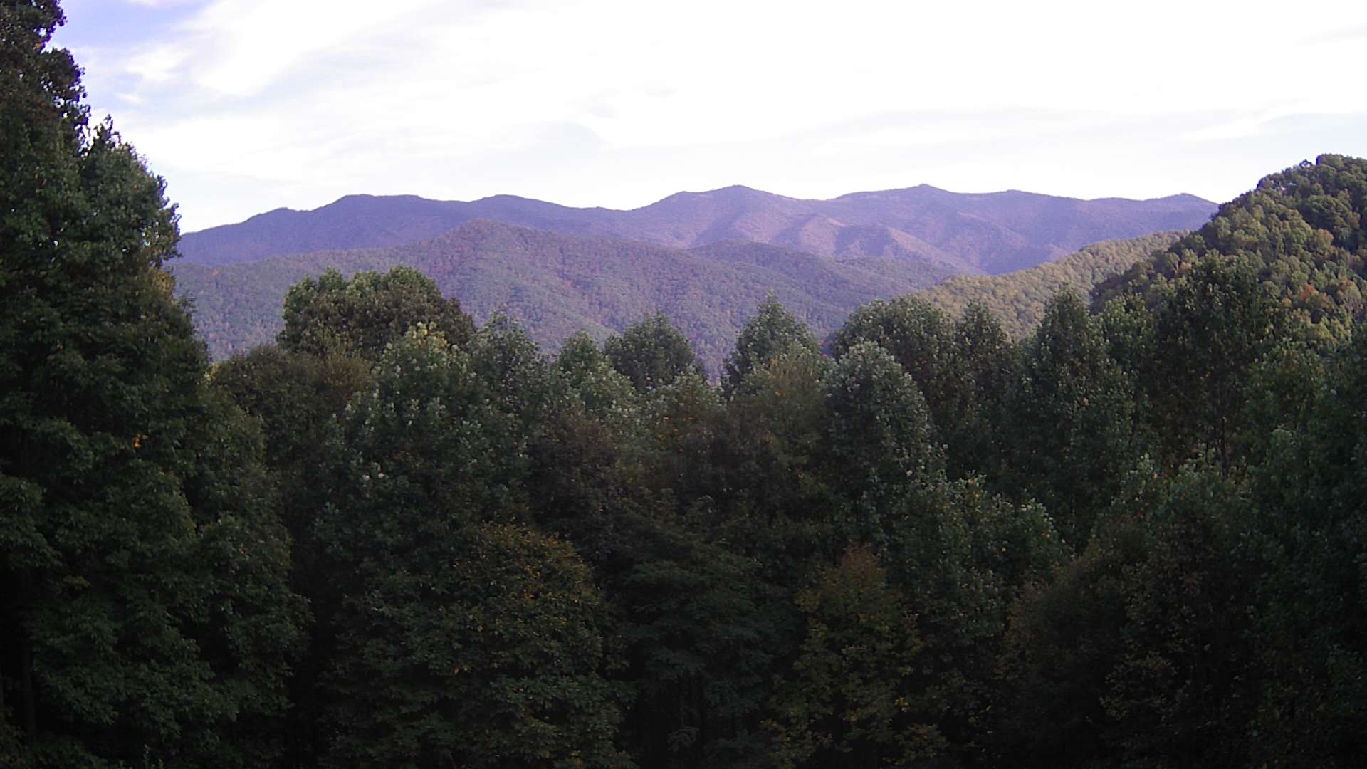 click for next image... slideshow image