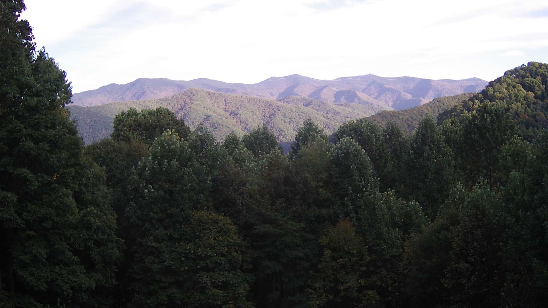 click for next image... slideshow image