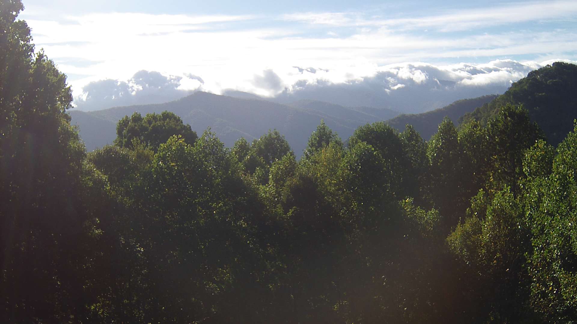 click for next image... slideshow image