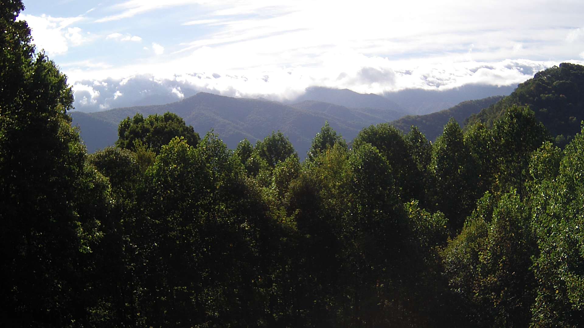 click for next image... slideshow image