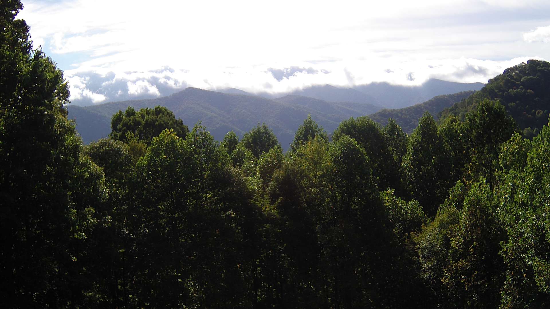 click for next image... slideshow image