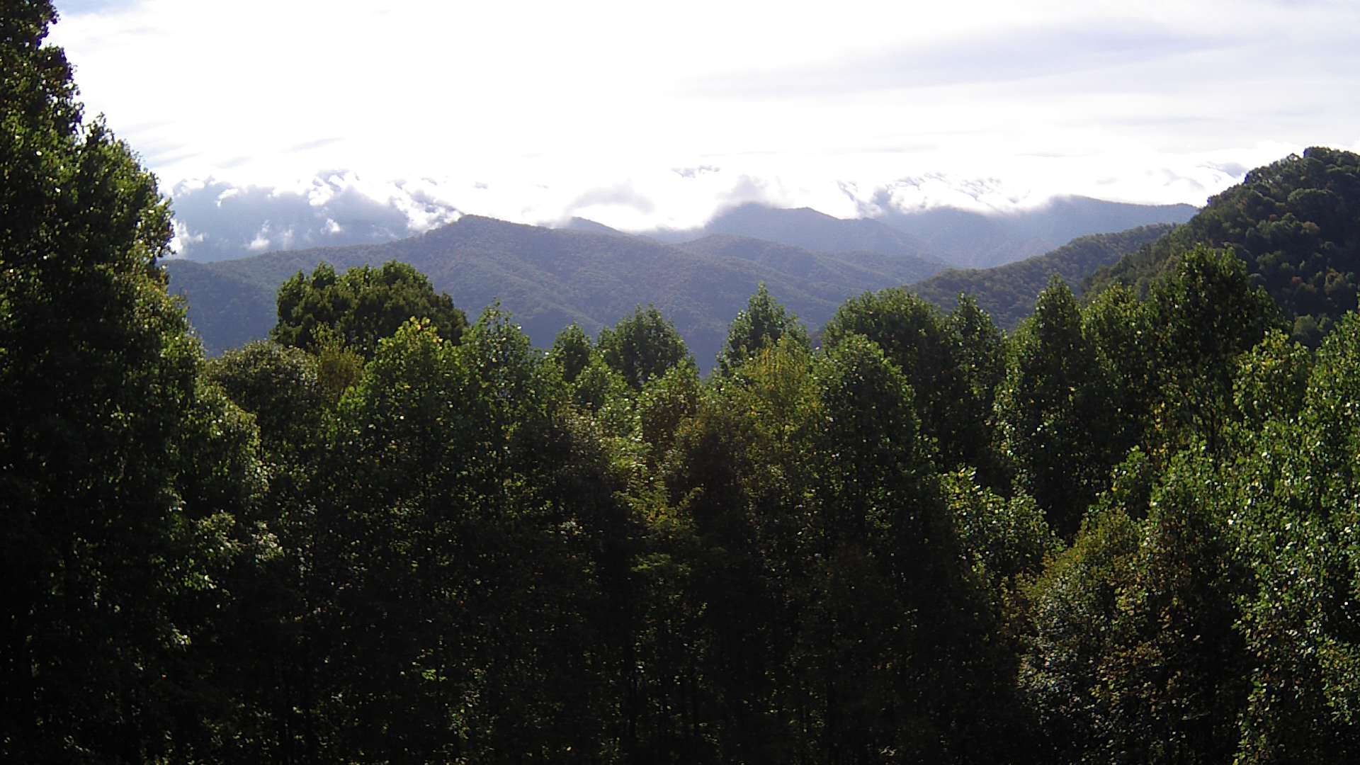 click for next image... slideshow image