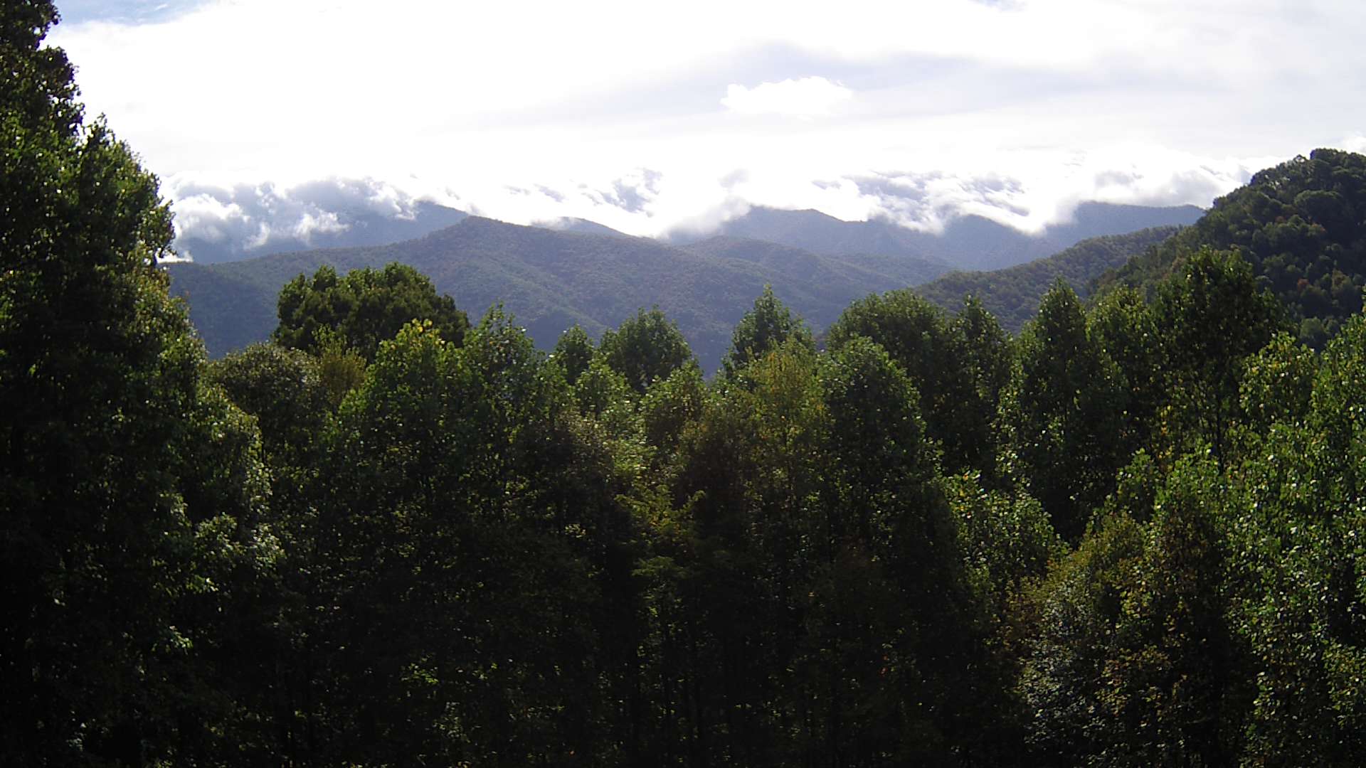 click for next image... slideshow image