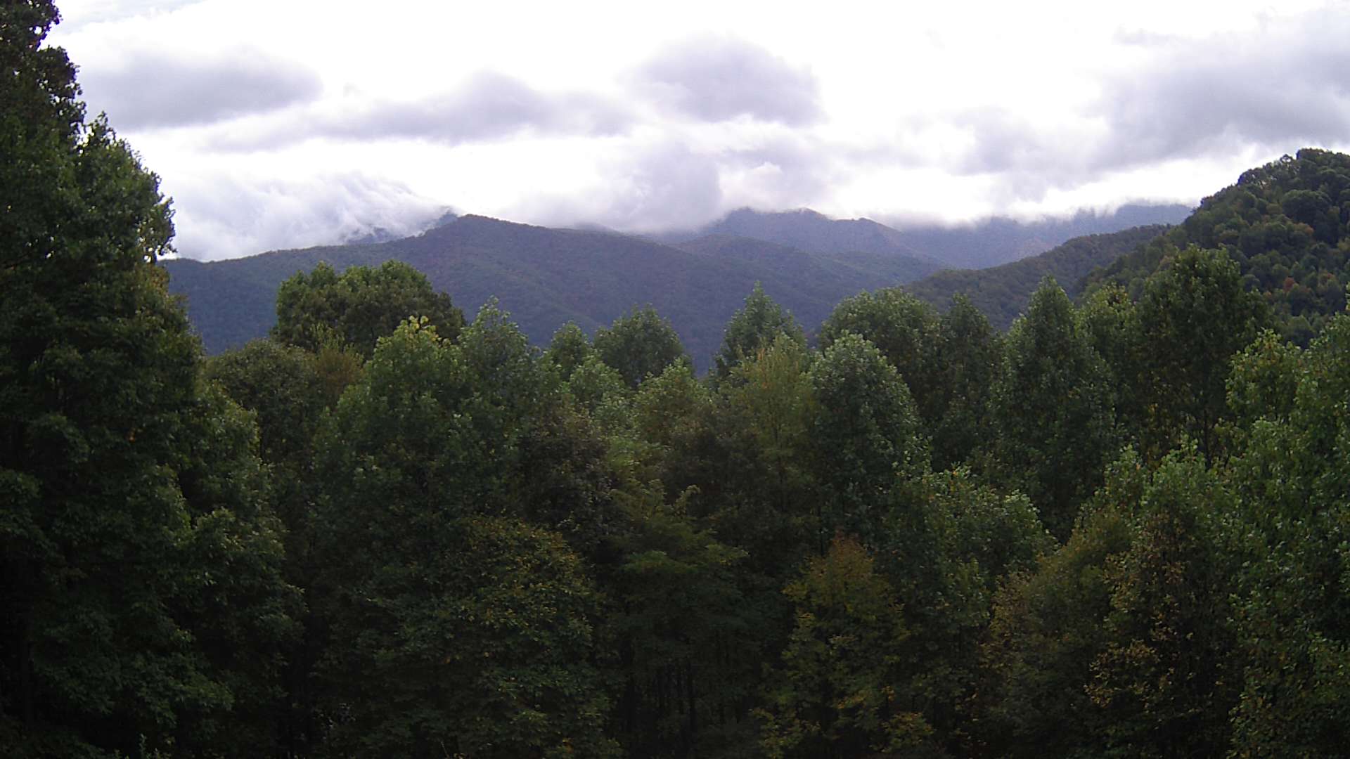 click for next image... slideshow image