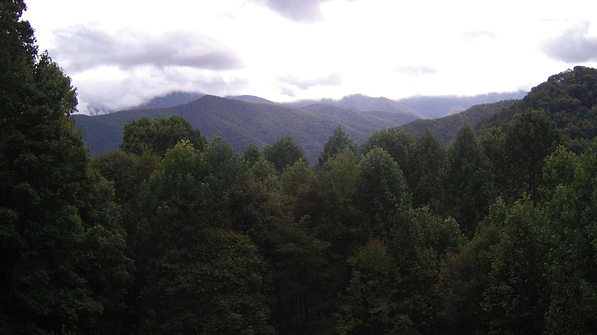 click for next image... slideshow image