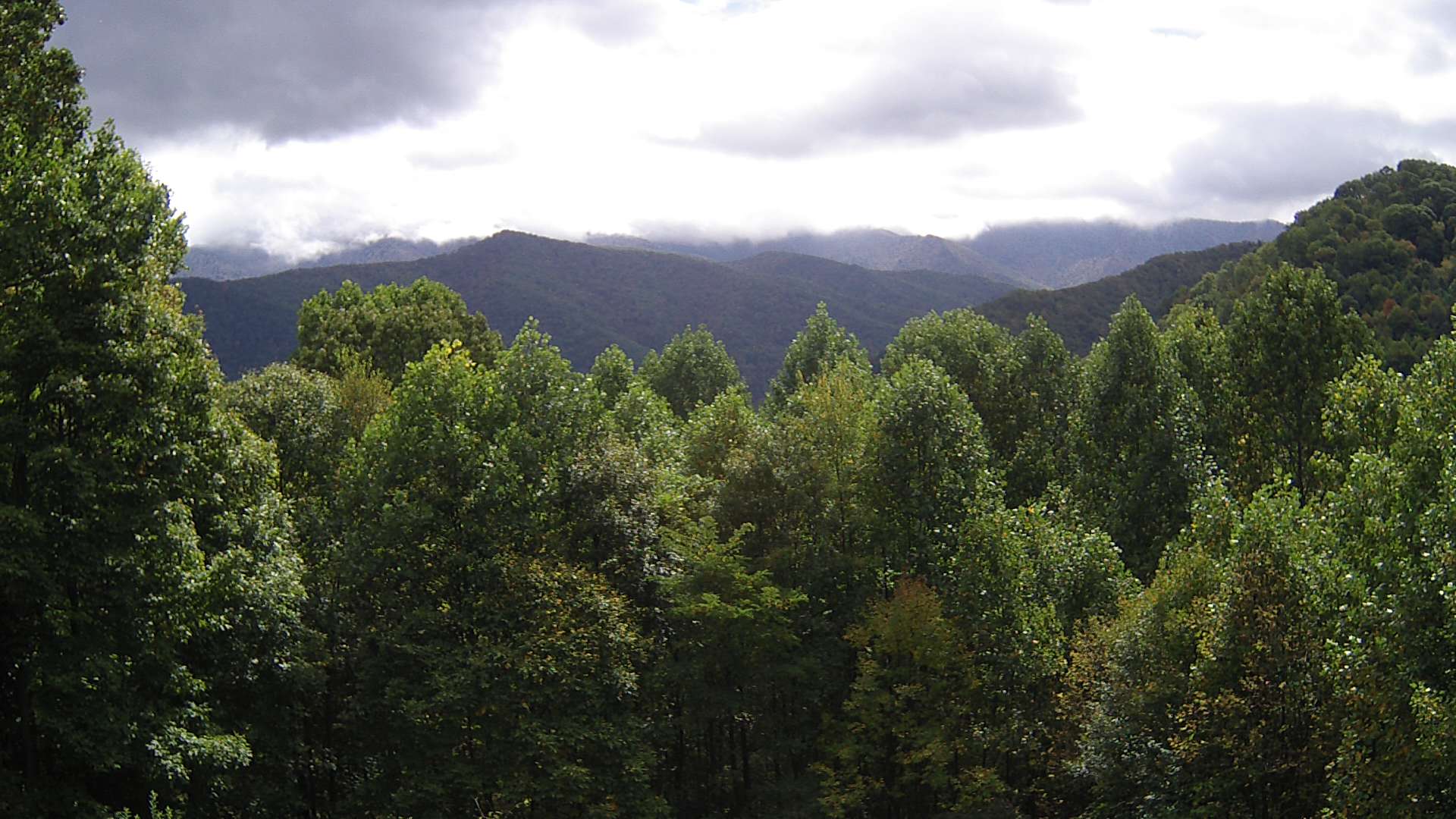 click for next image... slideshow image