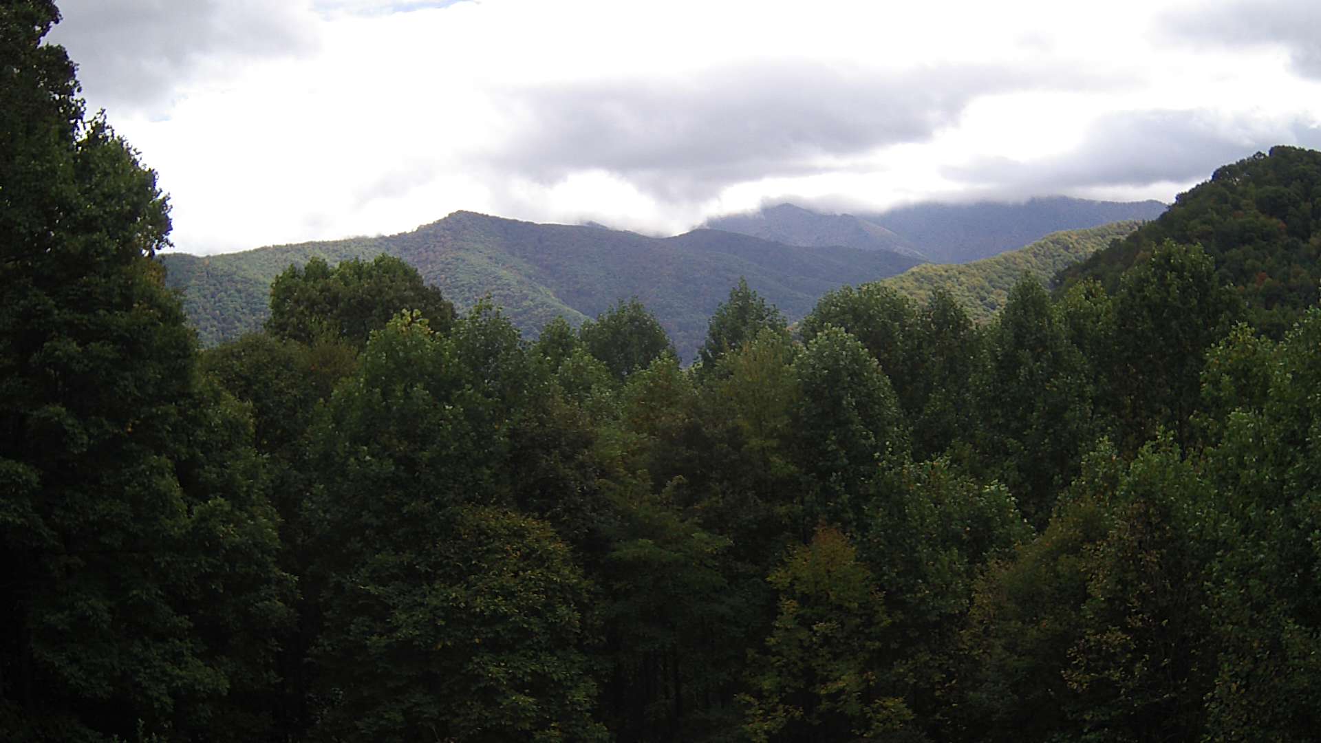 click for next image... slideshow image